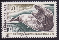 [La foca leopardo., tipo EM1]