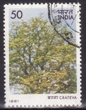 [Flowering Trees, tip ZX]