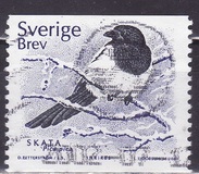 [Birds, type BMC]