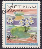 [Water Flowers, प्रकार GE]