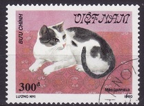 [Cats, type AUP]
