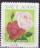 [Roses, tyyppi FZ]