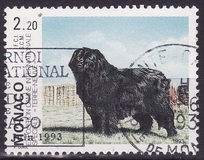 [International Dog Show, Monte Carlo, type CDU]