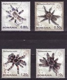 [Tarantulas, typ JER]