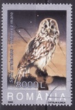[Owls, type IEG]