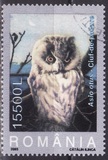 [Owls, type IEJ]