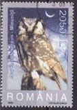 [Owls, type IEK]