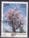 [Flowering Trees, tip ZZ]