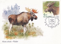 [Fauna - The Elk, type NY]