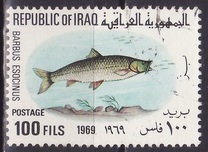 [Fish, type GW]