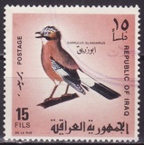 [Iraqi Birds, type GB]