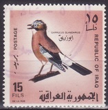 [Iraqi Birds, type GB]