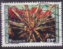 [Airmail - Sea Urchins, type NV]