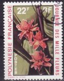 [Day of a Thousand Flowers, type DX]
