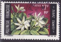 [Flowers, type CF]