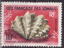 [Mussels and Snails, タイプ DT]