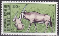 [Wildlife, 类型 YM]