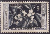 [Local Motives, type BT]