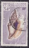 [Seashells, type HC]