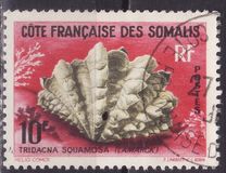 [Mussels and Snails, タイプ DT]