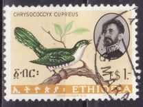 [Birds, type MY]