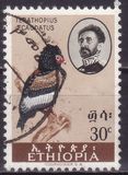 [Birds, type MW]