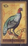 [Airmail - Birds, Scrivi DA2]