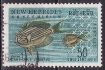 [Local Flora and Fauna - English Version, type AH]