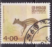 [Animals, Typ DJ1]