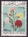 [Spring Festival - Flowers, Tip IE]