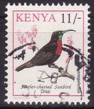 [Birds, type VI]