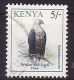 [Birds, type VE]