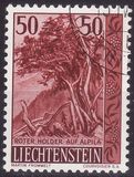 [Trees and Bushes, タイプ KW]