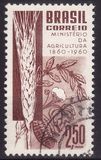 [The 100th Anniversary of the Brazilian Ministry of Agriculture, тып AJR]