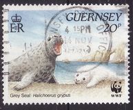 [WWF - Marine Life, type RH]