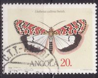 [Moths, type PG]