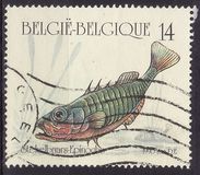 [Fish, סוג BOO]