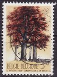 [Trees - Nature Protection Year, тип ALN]