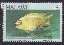 [Fish, Вид MJ]
