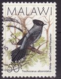 [Birds, tegund QD]