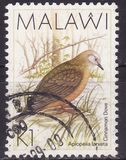 [Birds, tegund QF]