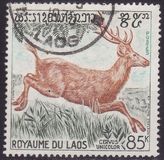 [Wild Animals, type LJ]