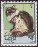 [Domestic Cats, 유형 ZH]