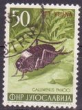 [Jugoslav Fauna - Yugoslav Stamps of 1954 in Changed Colors and Overprinted "STT VUJNA", tip CV]