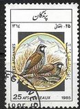 [Fauna - Birds, jenis ADE]