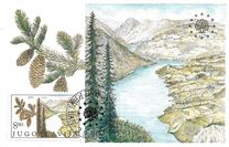 [European Nature Conservation, տեսակ BYD]