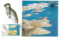 [European Nature Conservation, տեսակ BYE]