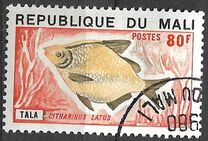[Fish, වර්ගය PI]