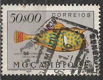 [Fish, type CW]