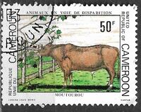 [Endangered Animals, type WU]